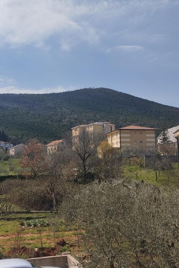 Pansion Danijel Hotel Međugorje Cameră foto